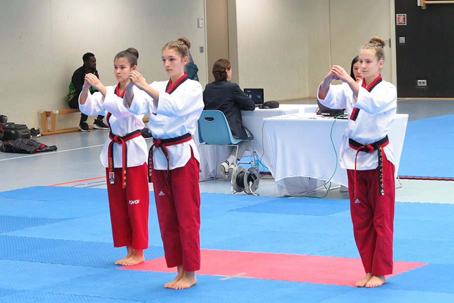 Open Poomsae Hamburg